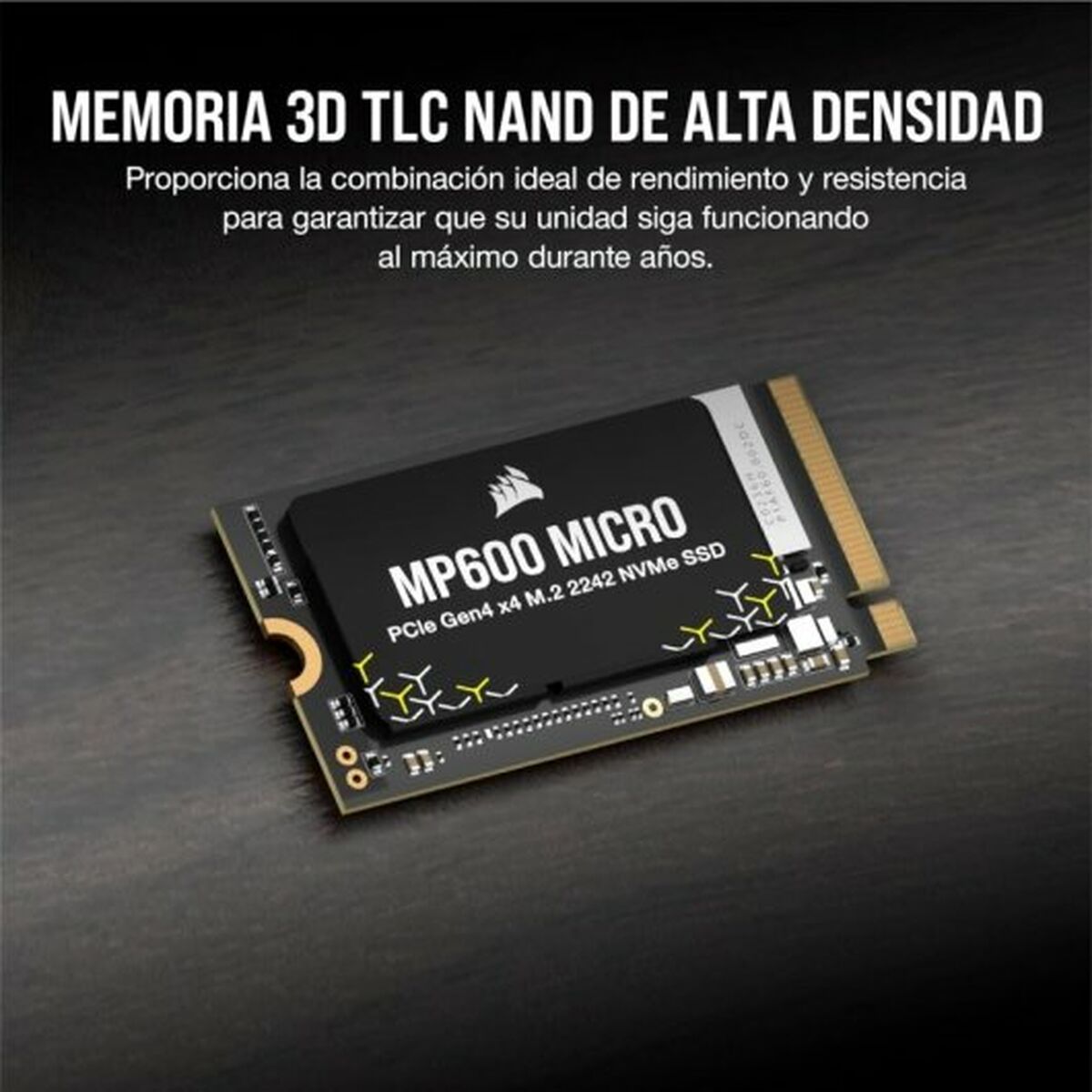 V3HC8826178FB1AC4548772ABAD95FD1CDDR4086731P5